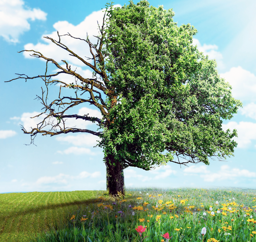 Changing seasons bring trade finance to the fore says Pulse Cashflow