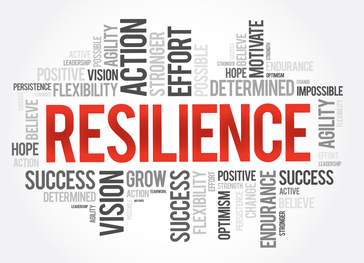 resilience-in-business-thriving-despite-challenges